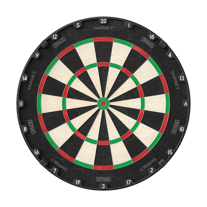 Dart-Board Target ASPAR Professional 