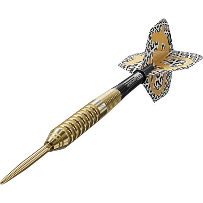 Steel Tip Target Bolide Envy 02 SP 22 g