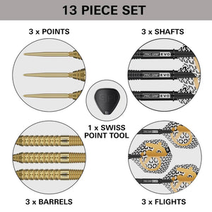 Steel Tip Target Bolide Envy 02 SP 22 g