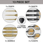Steel Tip Target Bolide Envy 05 SP 24 g
