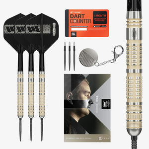 Steel Tip Target Dimitri van den Bergh 95K SP