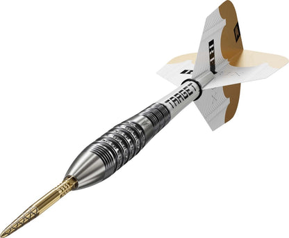 Steel Tip Target Redux 02 90% SP